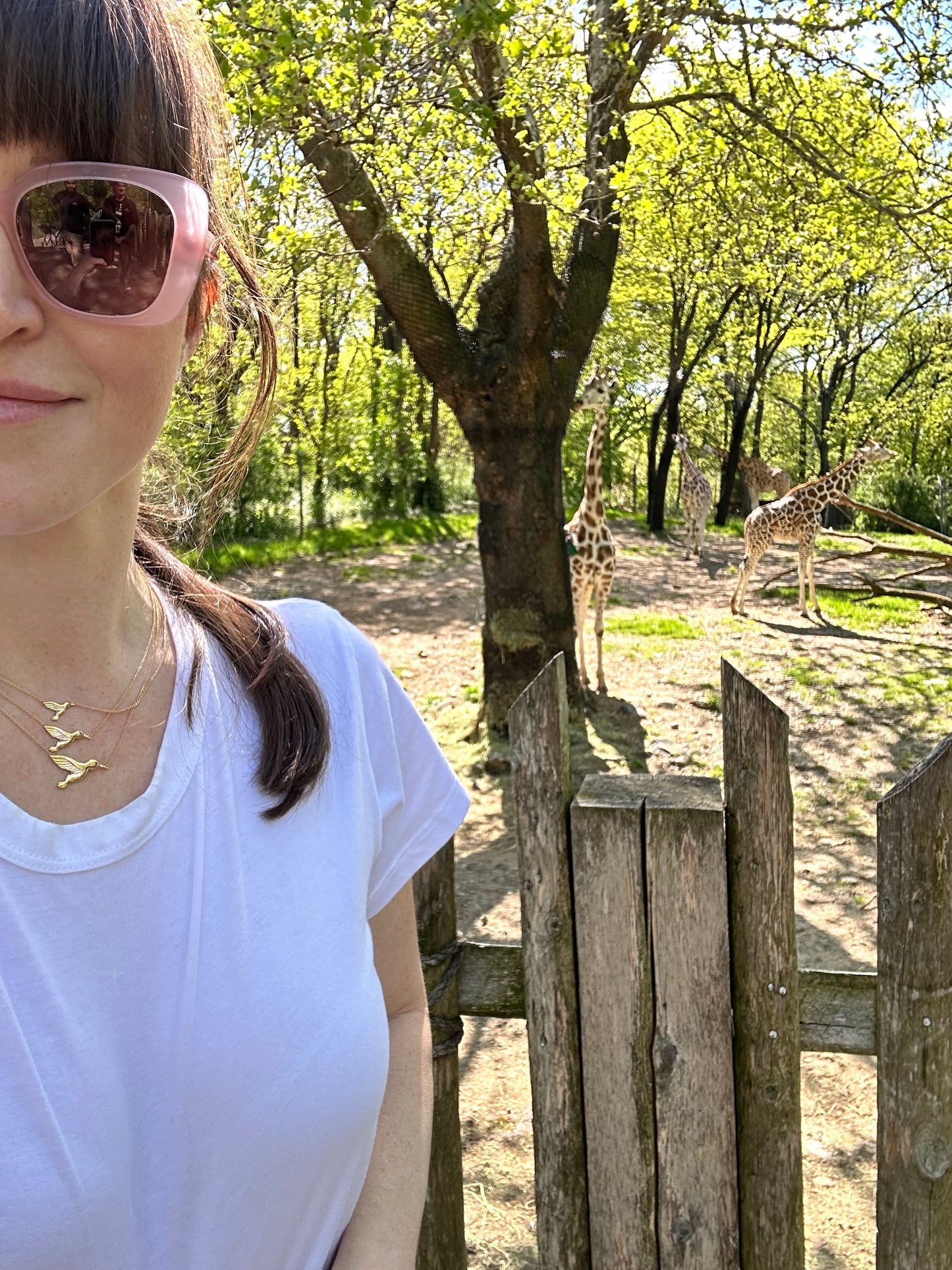 Medium Gold Sapphire Hummingbird Pendant - Three