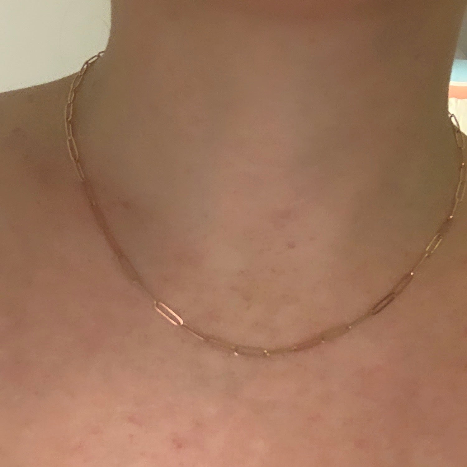 Thin Paperclip Chain Necklace 2