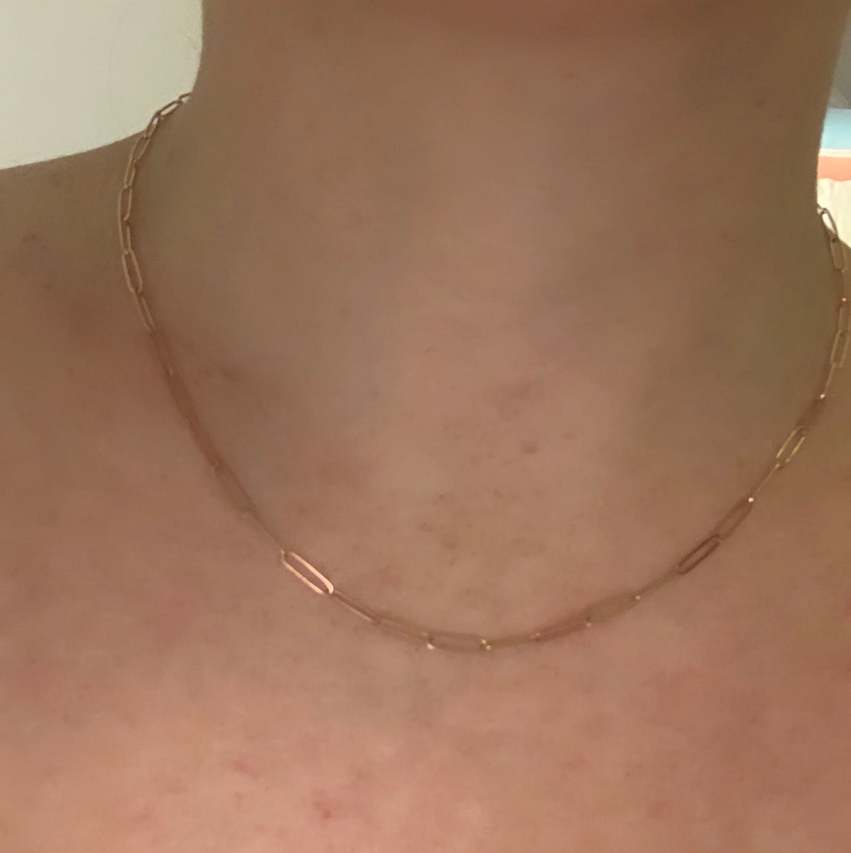 Thin Paperclip Chain Necklace Nicole Rose Fine Jewelry