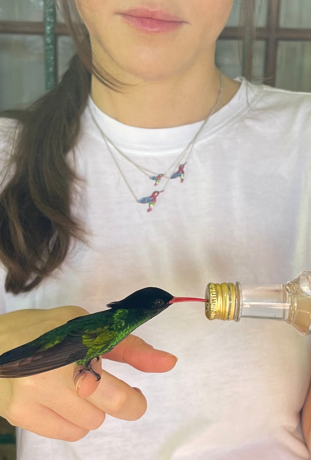 Small Multi-Sapphire Hummingbird Pendant 5