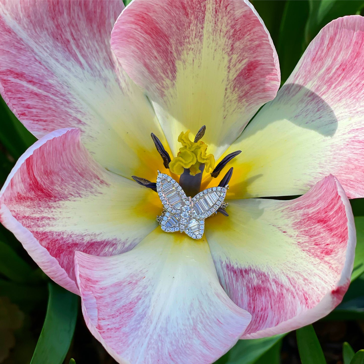 Jumbo Size Diamond Butterfly Pendant 6