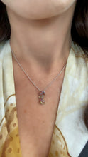 Load image into Gallery viewer, Rainbow Seahorse Pendant - Two