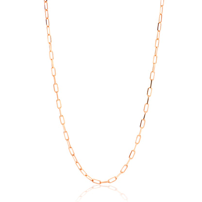 Gold Flat Chain Necklace